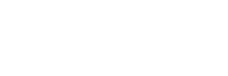 Squarespace Circle Silver Partner Badge